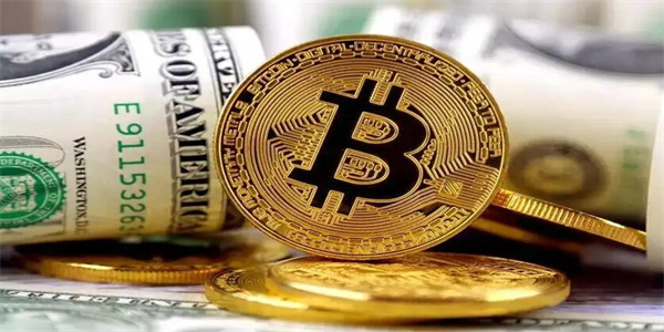 pig下载版本官方 pig新版下载2022-第6张图片-欧易交易所