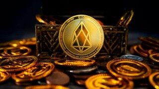 柚子币eos app最新版下载 柚子币eos手机客户端安卓