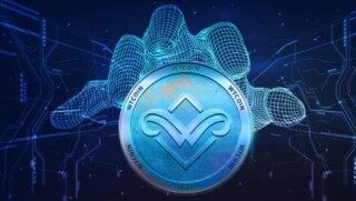 柚子币eos最新版下载 柚子币安卓app最新版客户端