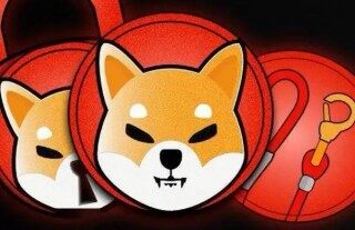 屎币什么地方可以下载 shi币下载软件最新