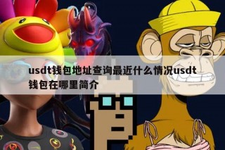 usdt钱包地址查询最近什么情况usdt钱包在哪里简介