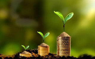 fil在哪买？ fil交易软件官方v6.4.8