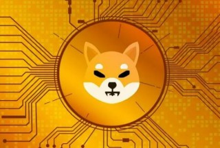 币优是正规理财平台吗_炒币哪个平台好