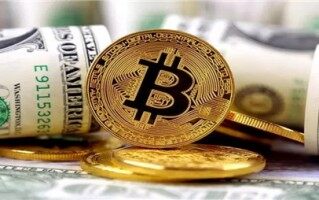 fet币发行总量介绍_fet币未来会涨到100美金吗