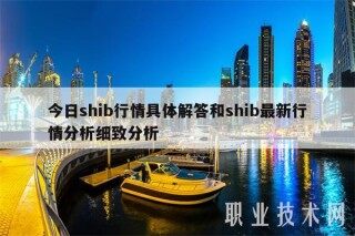 今日shib行情具体解答和shib最新行情分析细致分析